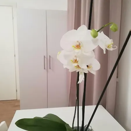 Appartement Interno 3 Bari